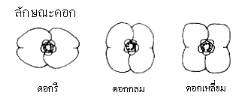 bulb.jpg (4332 bytes)