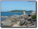 [dsc07974.jpg]